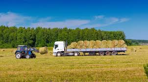 🚛 Tender for Transport Services for the Transport of Agricultural Materials in Iraq