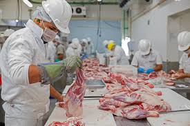 🥩 Huge Opportunity for Meat Processing Sector in Iraq – Investment Tender for Establishing a Meat Production Facility in Nineveh!