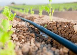 💧 Yemeni Buyer Requests Drip Irrigation Systems from Turkey – Agricultural Irrigation Products Wanted