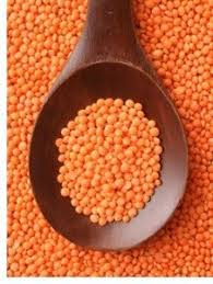 🫘 Egyptian Food Company Requests Lentil Import from Türkiye