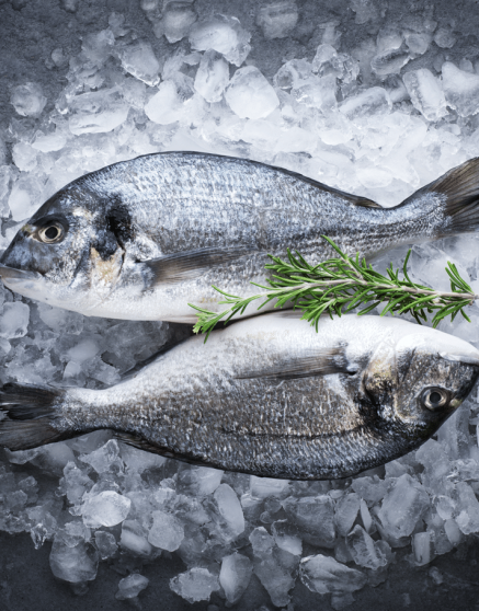 🐟 South Korean Buyer Looking for Frozen Fish Supplier from Turkey! – GTIP: 0303.89