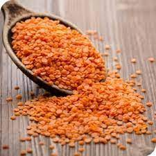 "Red Lentils Import Request for Egypt – Long-Term Business Cooperation with Turkish Suppliers"