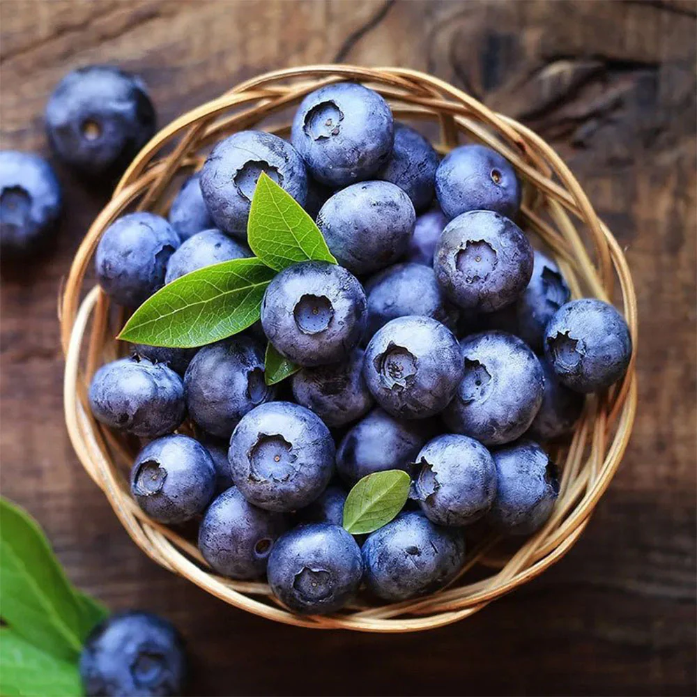 🍇 Import Request from Argentinian Company – Purchase of Fresh Blueberries under GTIP 0810.40.00